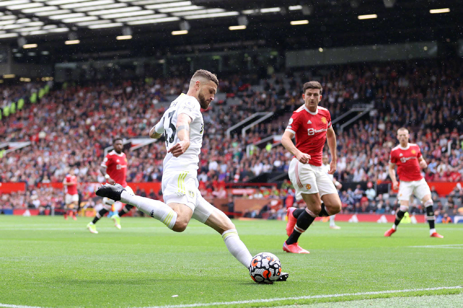 中表现出色 中表现出色